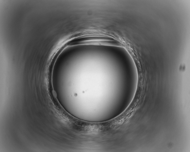 X0000099450103200805091514