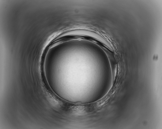 X0000099450104200805091514