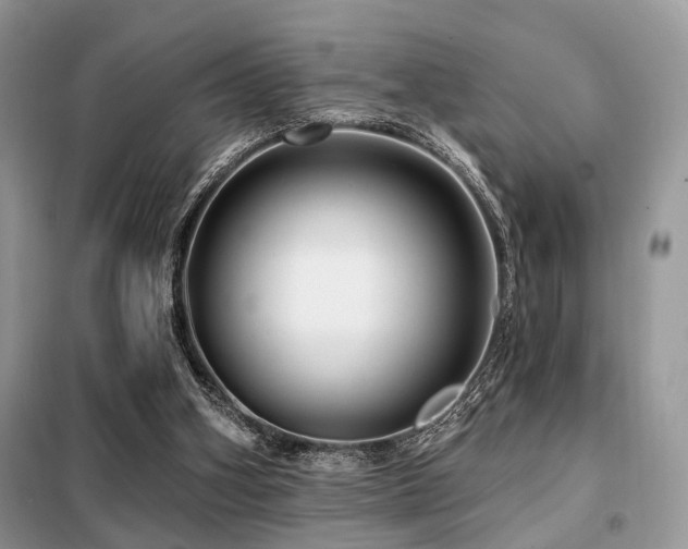 X0000099450106200805091514