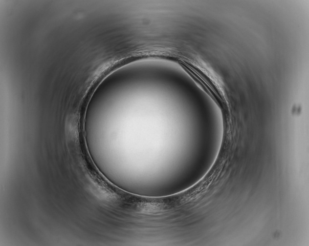 X0000099450107200805091514