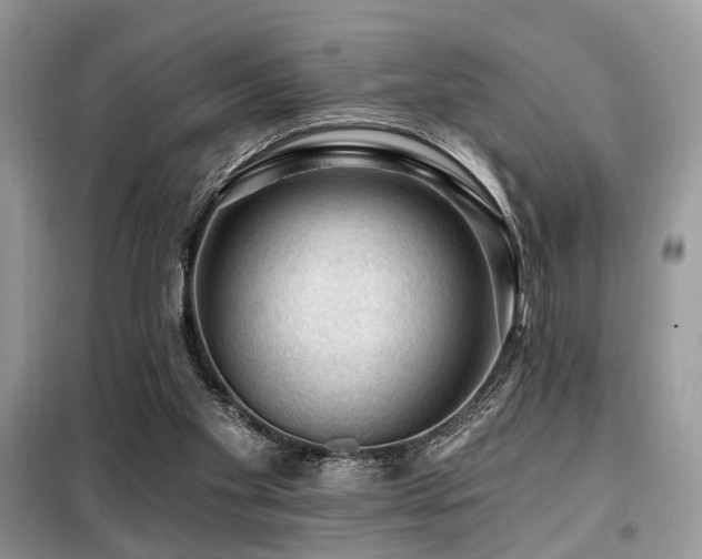 X0000099450109200805091514
