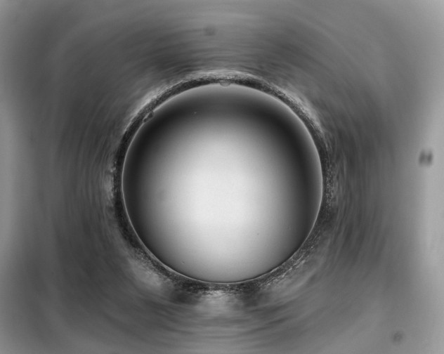 X0000099450111200805091514