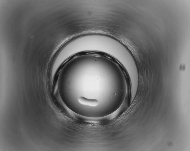 X0000099450112200805091514
