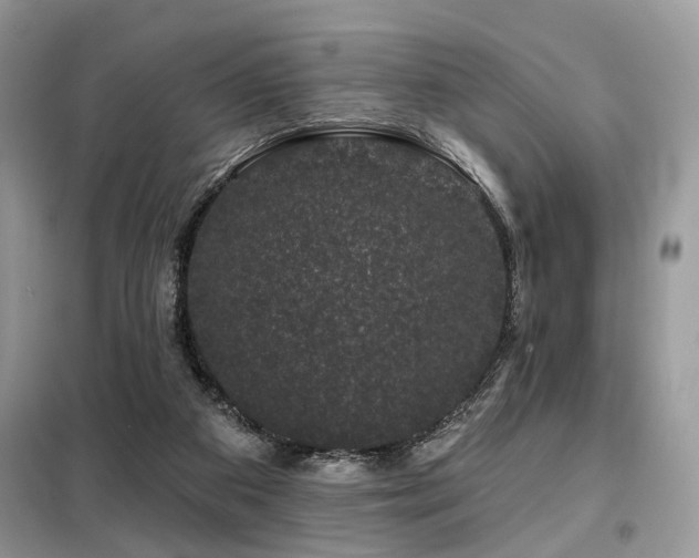 X0000099450113200805091514