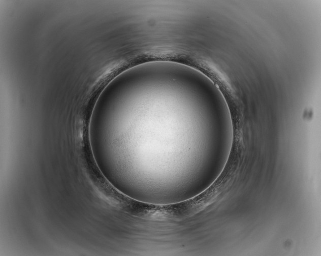 X0000099450115200805091514