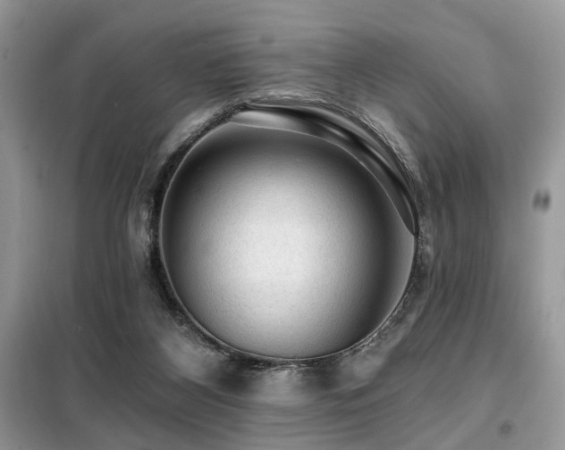 X0000099450116200805091514