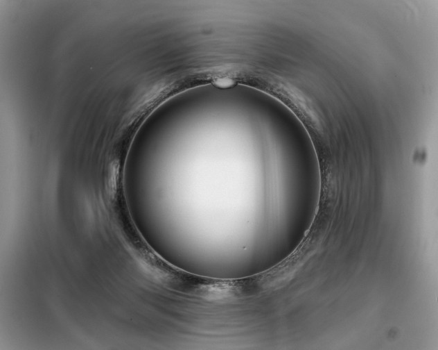 X0000099450118200805091514