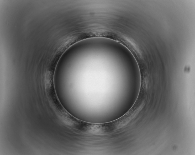 X0000099450121200805091514