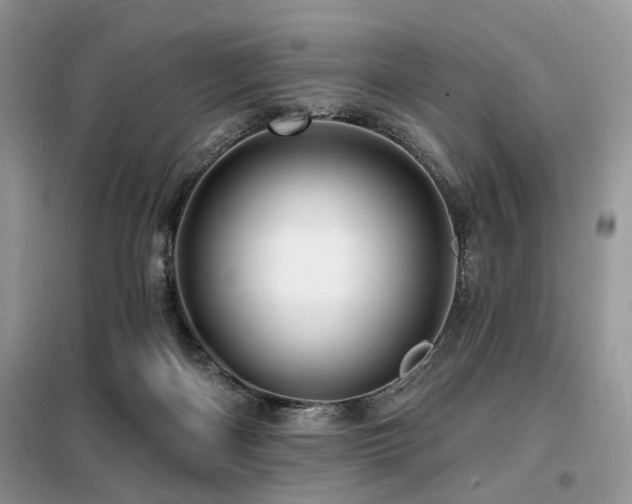 X0000099450122200805091514
