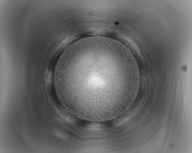 X0000099450123200805091514