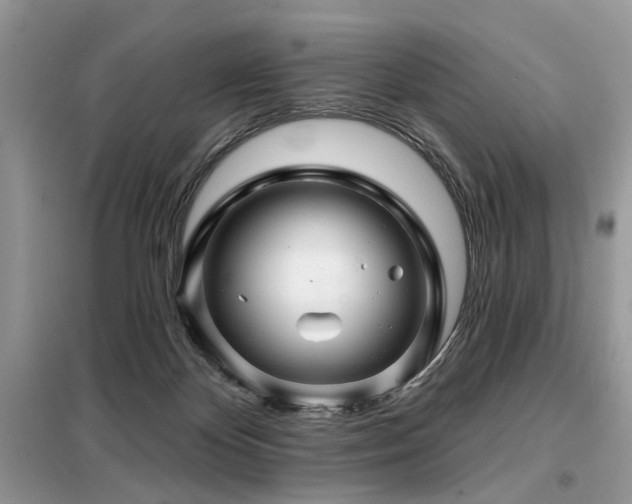 X0000099450124200805091514