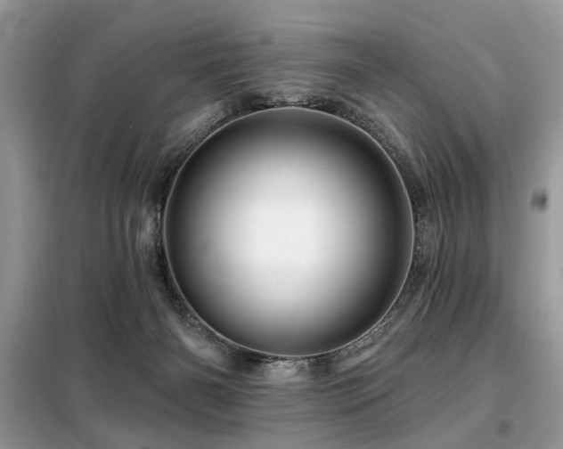X0000099450126200805091514