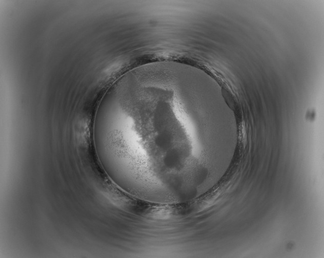 X0000099450127200805091514