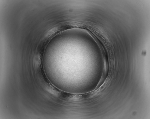 X0000099450128200805091514