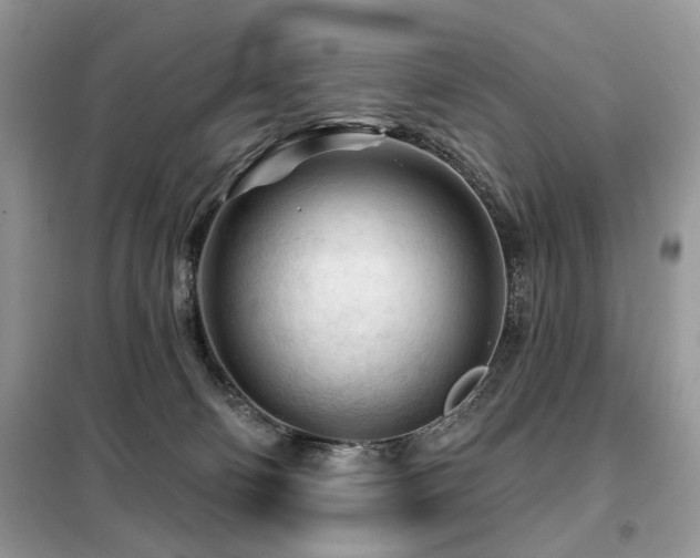 X0000099450130200805091514