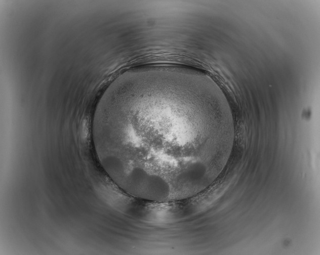X0000099450131200805091514