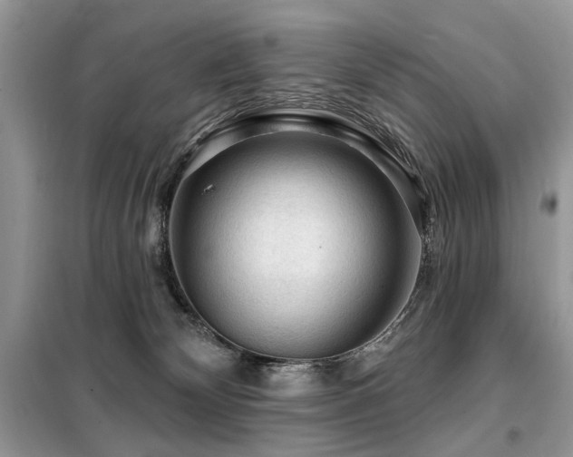 X0000099450132200805091514