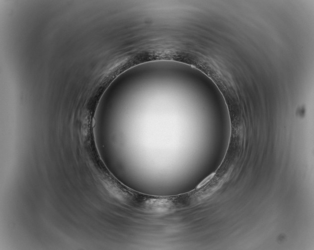 X0000099450133200805091514