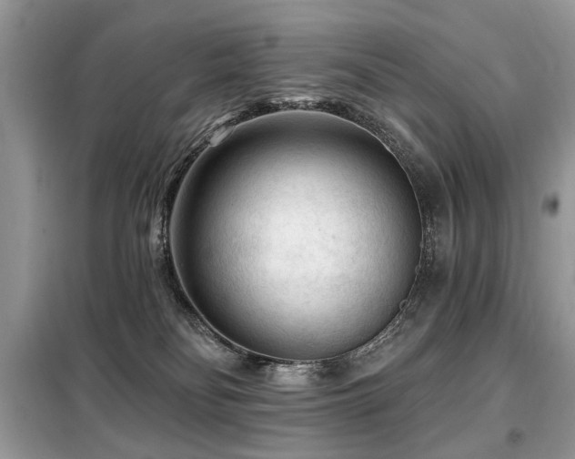 X0000099450134200805091514