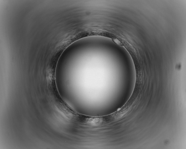 X0000099450135200805091514