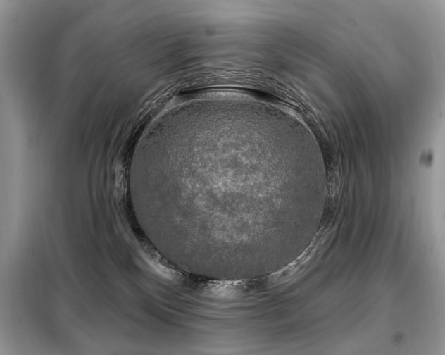 X0000099450136200805091514