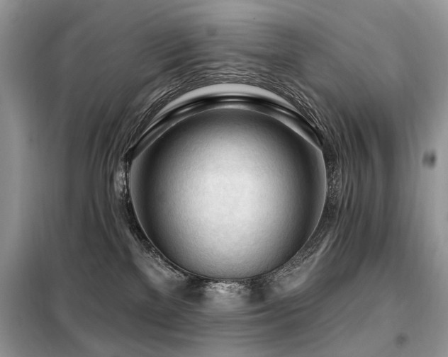 X0000099450137200805091514