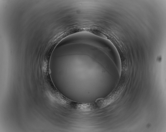 X0000099450139200805091513