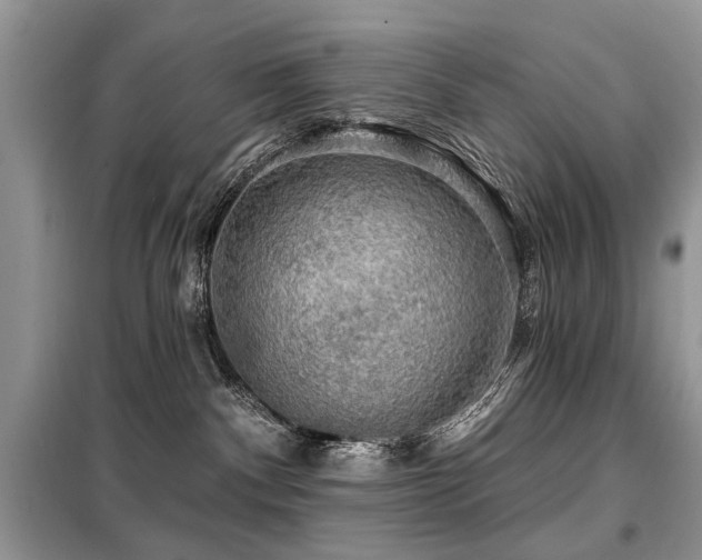 X0000099450140200805091513