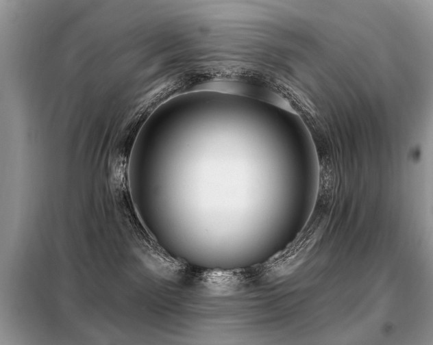 X0000099450141200805091513