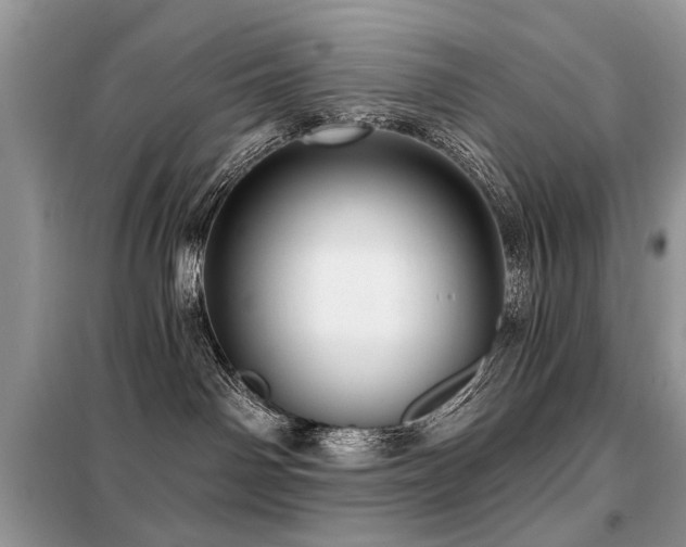 X0000099450142200805091513
