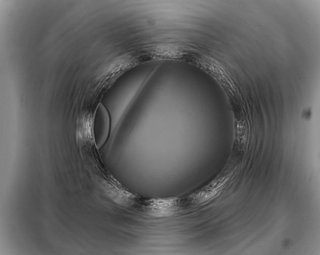 X0000099450143200805091513