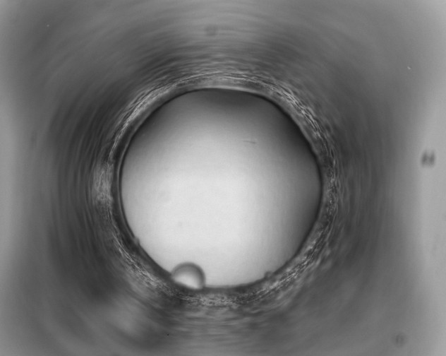 X0000099450146200805091513