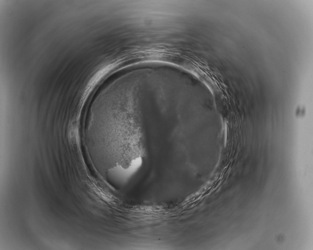 X0000099450147200805091513