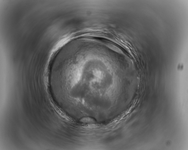X0000099450149200805091513