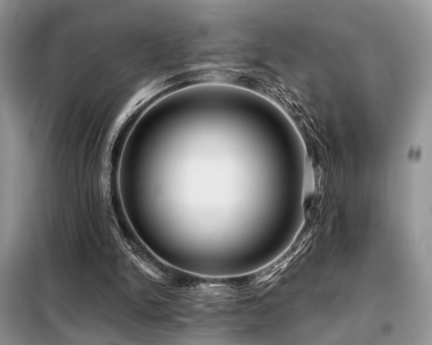X0000099450150200805091513