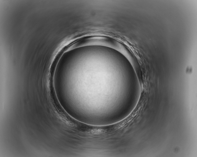 X0000099450152200805091513