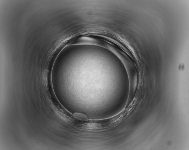 X0000099450154200805091513
