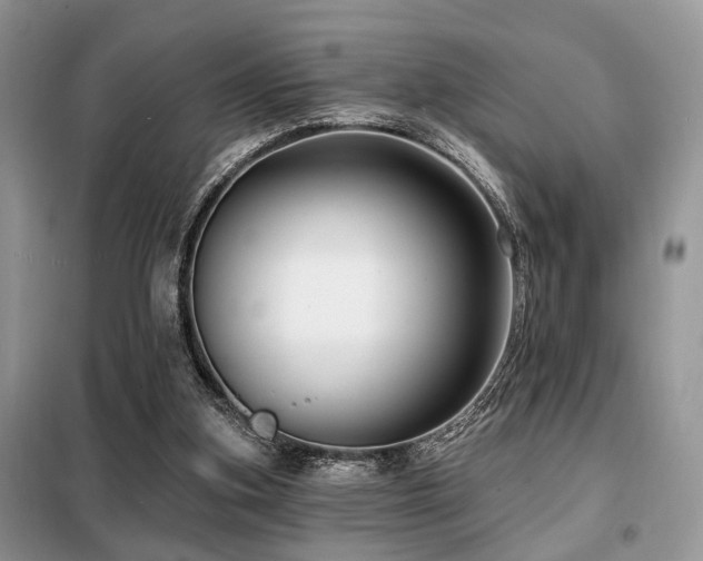 X0000099450155200805091513