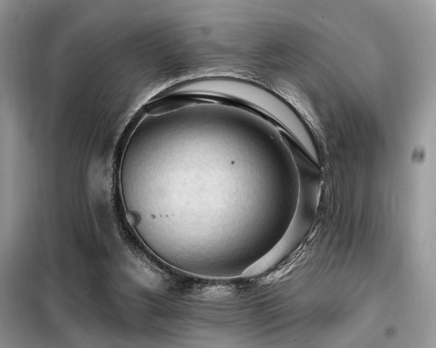 X0000099450156200805091513