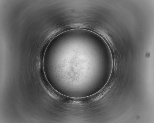 X0000099450157200805091513