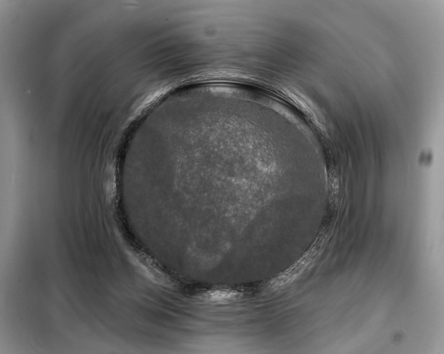 X0000099450158200805091513