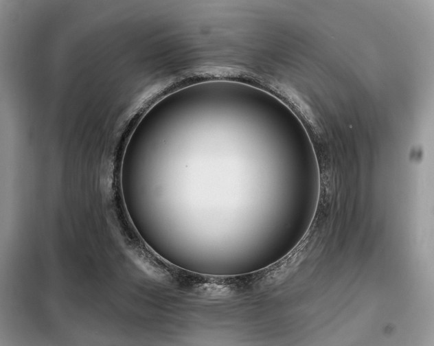 X0000099450159200805091513