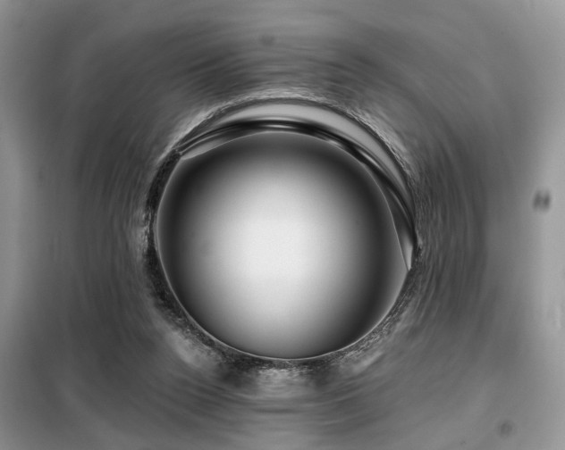 X0000099450160200805091513