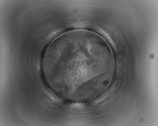 X0000099450161200805091513