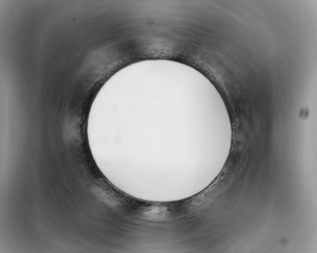 X0000099450162200805091513