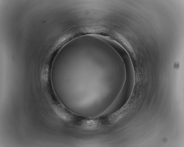 X0000099450163200805091513