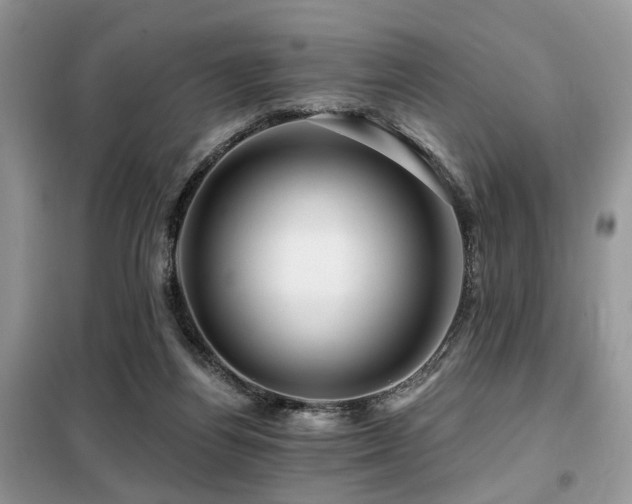 X0000099450164200805091513
