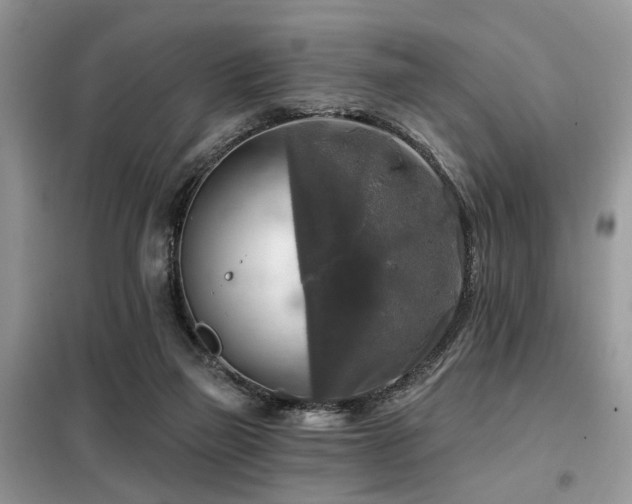X0000099450165200805091513