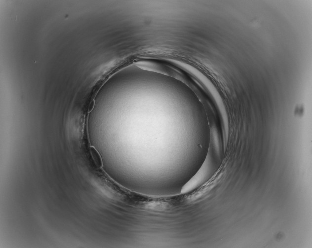 X0000099450168200805091513