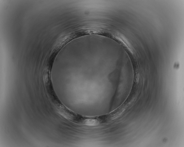 X0000099450169200805091513
